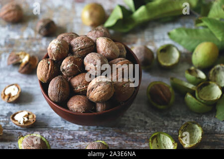 Freshly walnuts in a bowl. Harvest walnuts. Walnuts peeled from green shells. The leaves of the walnut tree. Stock Photo