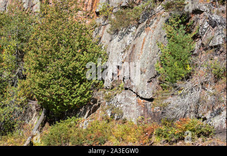 Close up of Granite wall of Barron Canyon in Algonquin Park Ontario Stock Photo