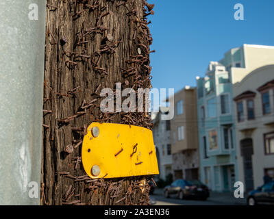 Wooden post in residential area with rusty nails and staples Stock Photo