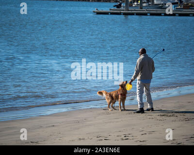 dog frisbee launcher