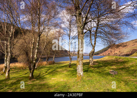 Llyn Geirionydd in the Snowdonia National Park, North Wales Stock Photo