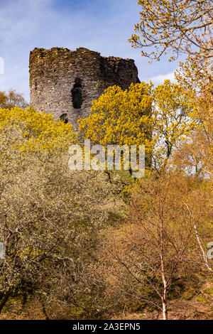 Dolbadarn castle at Llanberis, Snowdonia, North Wales Stock Photo