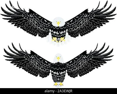 Cartoon stylized bald eagle decorative design illustration. Stock Vector