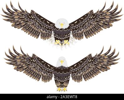 Cartoon stylized bald eagle decorative design illustration. Stock Vector