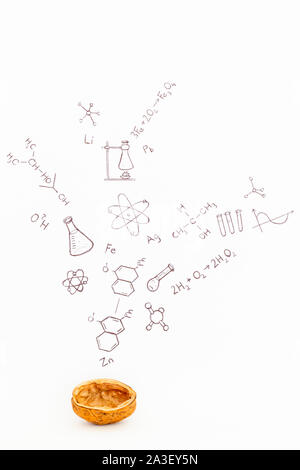 Concept of the phrase chemistry in a nutshell. Chemical formulas and symbols drawn on white paper with walnuts Stock Photo