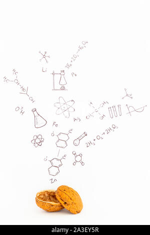 Concept of the phrase chemistry in a nutshell. Chemical formulas and symbols drawn on white paper with walnuts Stock Photo