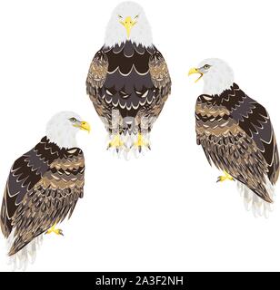 Cartoon stylized bald eagle decorative design illustration. Stock Vector