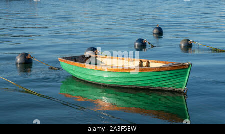 Green rowing boat moored on the River Dart near Dittisham, Devon, United Kingdom Stock Photo