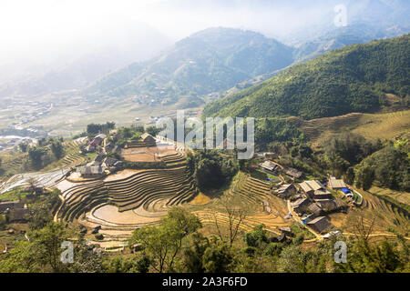 Early planting season of terrace rice paddy field in Sapa Lao Cai Vietnam Indochina Stock Photo