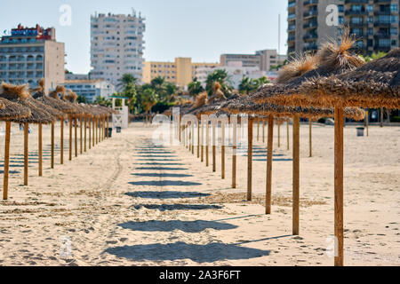 Straw parasols in a row on the sandy beach in Palma Nova district of Majorca tourist resort, Balearic Islands, Spain Stock Photo