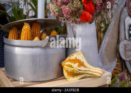 Autumn still life with dried corncobs in a metal pot and ornamental gourd in front of an old watering can filled with colorful flowers conceptual of t Stock Photo