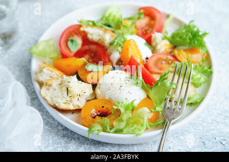 Close up of original panzanella salad with mozarella, toasted baguette, tomatoes and plums on rustic background. Summer cuisine concept Stock Photo