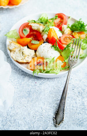 Close up of original panzanella salad with mozarella, toasted baguette, tomatoes and plums on rustic background. Summer cuisine concept Stock Photo