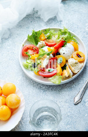 Original panzanella salad with mozarella, toasted baguette, tomatoes and plums on rustic background. Summer cuisine concept Stock Photo