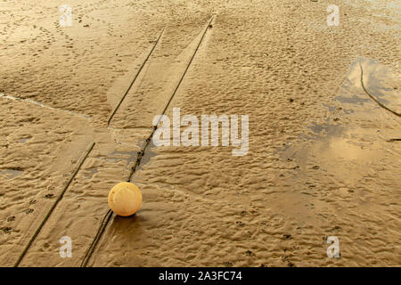 Footprints in wet sand on a sunny evening Stock Photo