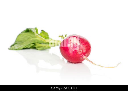 One whole fresh red radish isolated on white background Stock Photo