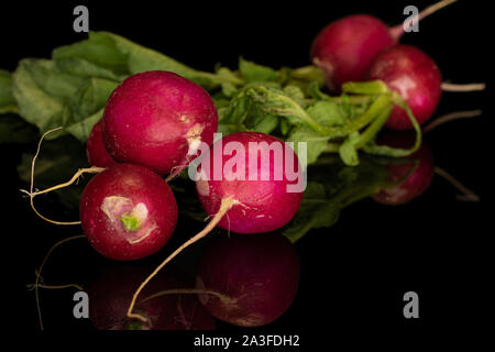 Group of five whole fresh red radish isolated on black glass Stock Photo