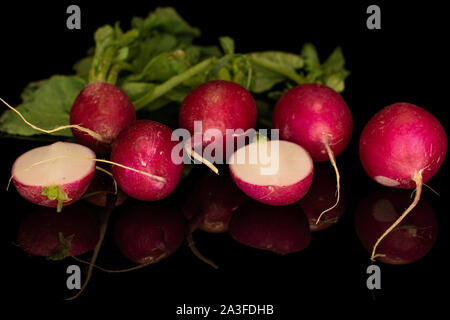 Group of five whole two halves of fresh red radish isolated on black glass Stock Photo
