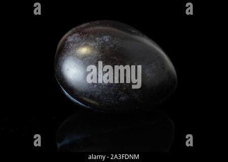 One whole fresh purple plum isolated on black glass Stock Photo