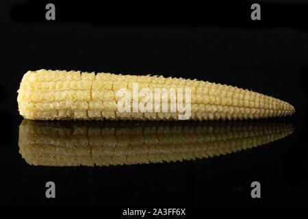 One whole baby yellow corn isolated on black glass Stock Photo