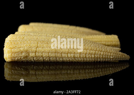Lot of whole baby yellow corn isolated on black glass Stock Photo