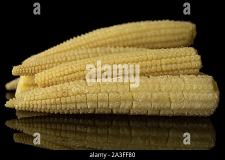 Lot of whole baby yellow corn isolated on black glass Stock Photo