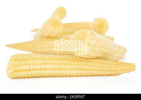 Lot of whole disordered baby yellow corn isolated on white background Stock Photo