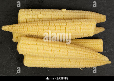 Lot of whole baby yellow corn flatlay on grey stone Stock Photo