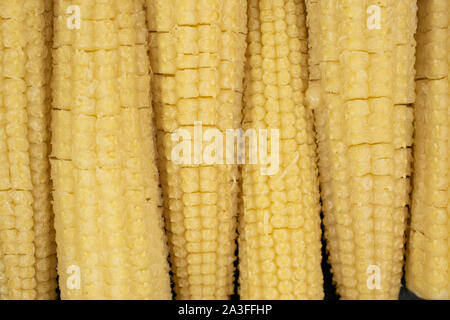 Lot of whole baby yellow corn flatlay Stock Photo