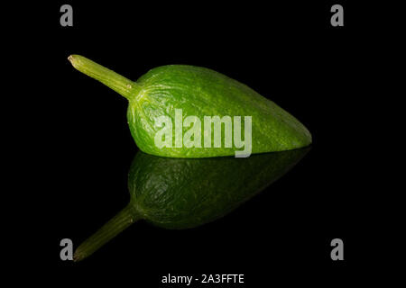 One piece of mini green cucumber isolated on black glass Stock Photo
