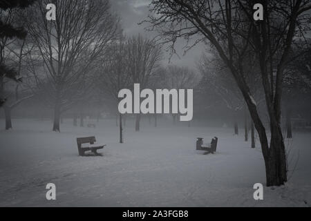Benches in a snowy park in the evening. Almost black and white. Stock Photo