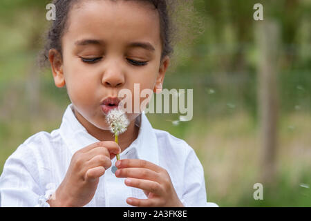 Beautiful cute happy mixed race biracial African American girl female child blowing a dandelion in the countryside Stock Photo
