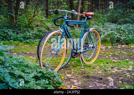 Classic bikes in nature Stock Photo
