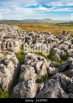 Limestone pavement at Ribblehead with Pen y Ghent hill in the distance Yorkshire Dales National Park England Stock Photo