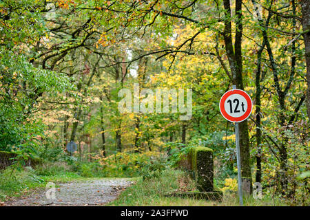 An old bridgewith a sign informing about a weight limitation of 12 t in an idyllic autumn forest in Bavaria, Germany in October Stock Photo