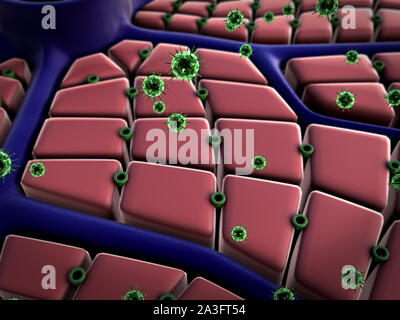 Viruses infecting human cells, computer illustration Stock Photo - Alamy
