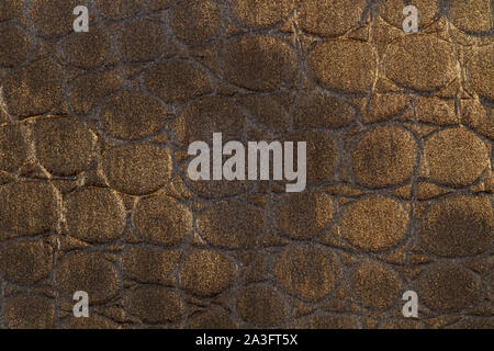 A brown lether cloth with reptile texture Stock Photo