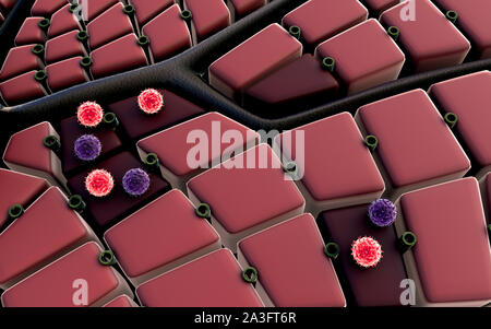 Viruses infecting human cells, computer illustration Stock Photo - Alamy