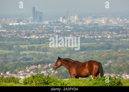 Manchester skyline as seen from the rural location Werneth Low Stock Photo