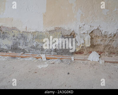 Saltpeter in an apartment Stock Photo