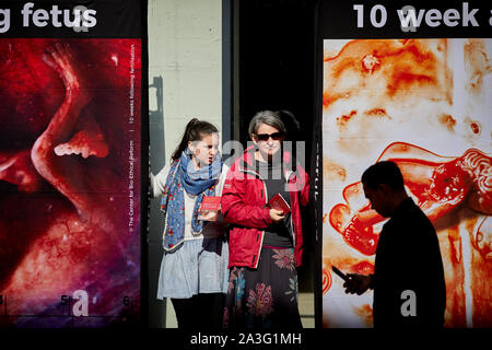 Cardiff Wales, fetus poster an anti abortion campaign Queen Street window Stock Photo