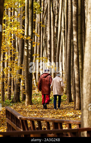 Elderly couple walking in autumn forest on bright sunny day Stock Photo