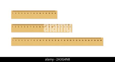 30 Cm Ruler School Supplies Measurement Tool Isolated Vector