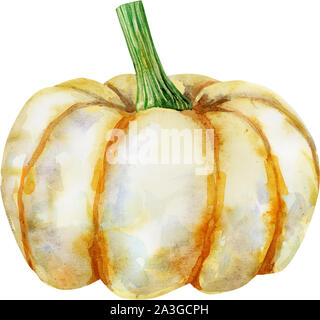 white pumpkin on isolated white background, watercolor illustration, hand drawing Stock Photo