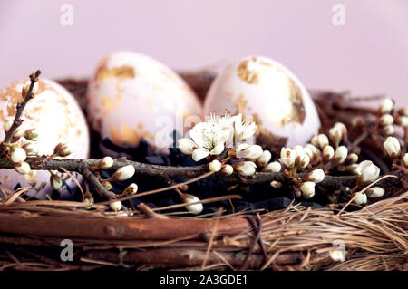 Gold foiled painted easter eggs in a nest, decorated with a cherry blossom branch. Stock Photo