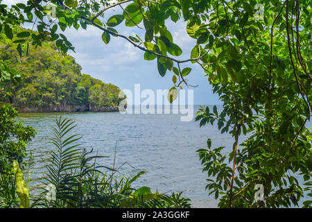 View through plants over los Haitises in dominican Republic Stock Photo