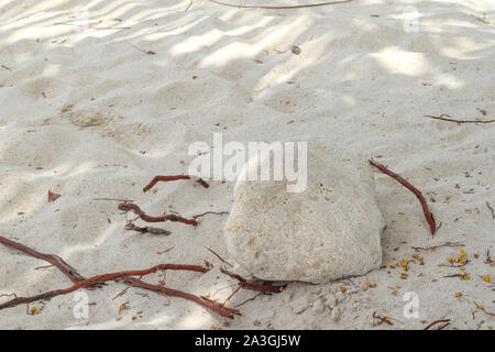 stone in sand on white caribbean beach Stock Photo