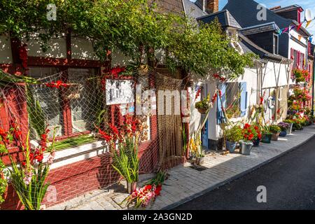 France, Somme, Somme Bay, Saint Valery sur Somme, At the time of the sea festivals, the district of Courtgain (the one where one gains little) which shelters the houses of the fishermen is decorated with nets fishing and gladioli Stock Photo