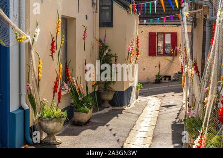 France, Somme, Somme Bay, Saint Valery sur Somme, At the time of the sea festivals, the district of Courtgain (the one where one gains little) which shelters the houses of the fishermen is decorated with nets fishing and gladioli Stock Photo