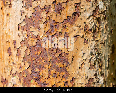 Old grunge rusty background texture Stock Photo